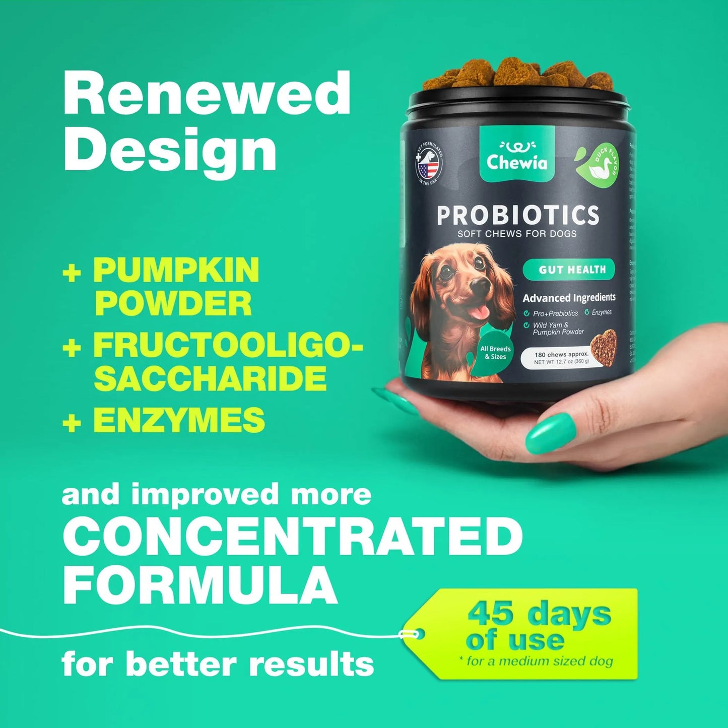Probiotics for Dogs Gut Health Digestion