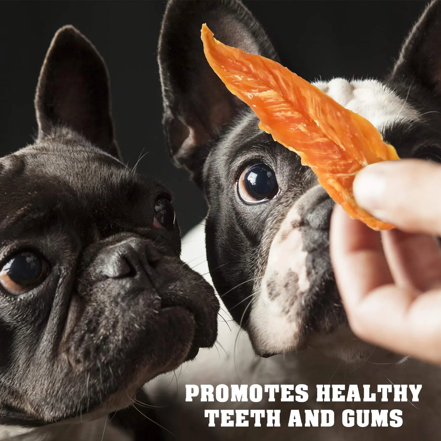 Chicken Jerky Dog Treats 1.5 Lb Human Grade Pet Snacks & Grain Free Organic Meat All Natural High Protein Dried Strips Best Chews for Training Small