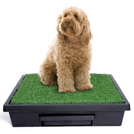 PetSafe Pet Loo Dog Potty Training System - Large