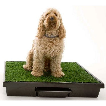 PetSafe Pet Loo Dog Potty Training System - Medium
